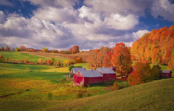Picture autumn, forest, clouds, trees, landscape, nature, house, blue, hills, foliage, the slopes, field, orange, village, …