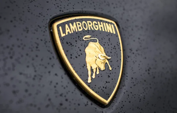 Picture drops, Lamborghini, logo, Lamborghini, bull
