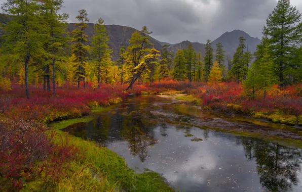 Picture autumn, grass, trees, landscape, mountains, clouds, nature, Bank, shrubs, Vladimir Ryabkov, Kolyma, lake