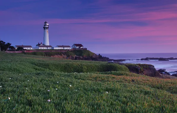 Picture grass, landscape, sunset, nature, the ocean, shore, lighthouse, home, CA, USA, Pigeon Point Lighthouse