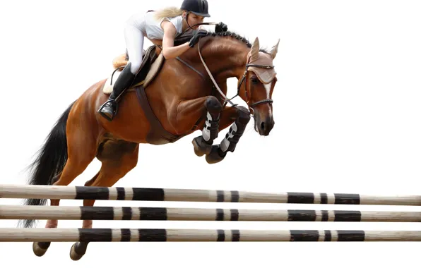 Picture jump, horse, rider, obstacle, horse riding