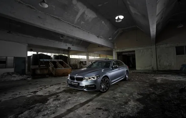 Picture grey, BMW, sedan, the room, 530i, 5, four-door, 5-series, G30