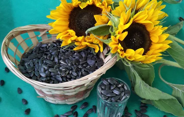 Picture sunflowers, basket, seeds