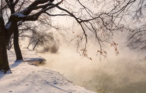 Picture winter, snow, trees, landscape, nature, Park, pond, Krasnodar, Alexander Plekhanov