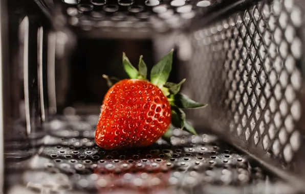 Picture berry, metal, red, close-up, food, macro, fruit, blur, bokeh, strawberry, mesh, 5k hd background