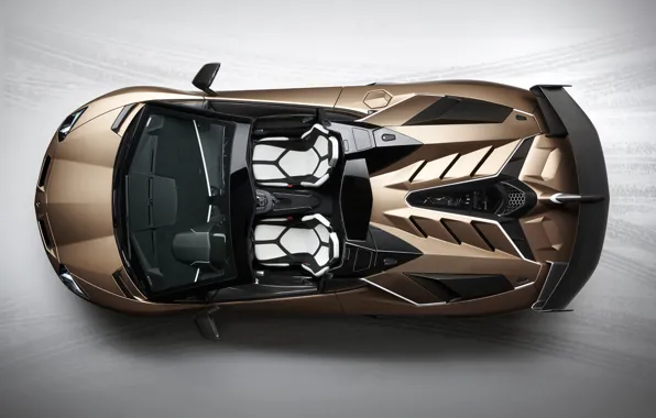 Picture Supercar, Italian, 2019, Lamborghini Aventador S Roadster