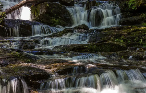 Picture forest, stones, stream, river, Virginia Hawkins Falls