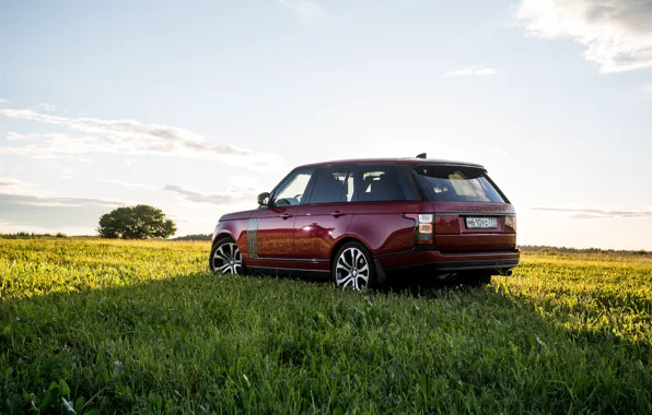 Picture nature, Range Rover, Autobiography, 2019