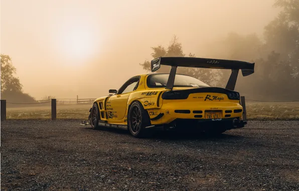 Picture Yellow, RX-7, Rear view