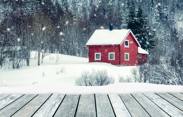 Picture winter, snow, trees, landscape, river, tree, house, house, forest, cottage, river, landscape, winter, snow, hut, …