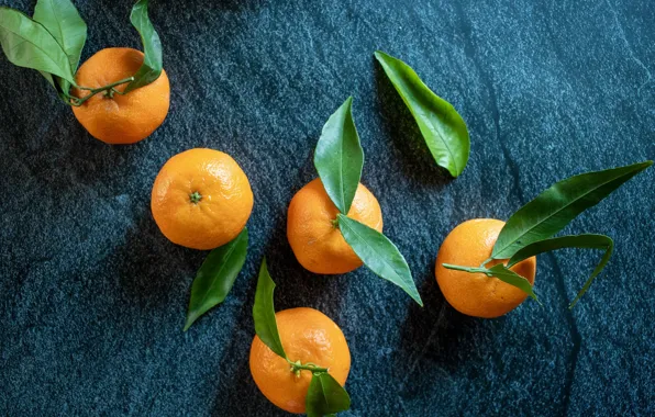 Picture background, leaves, citrus, tangerines