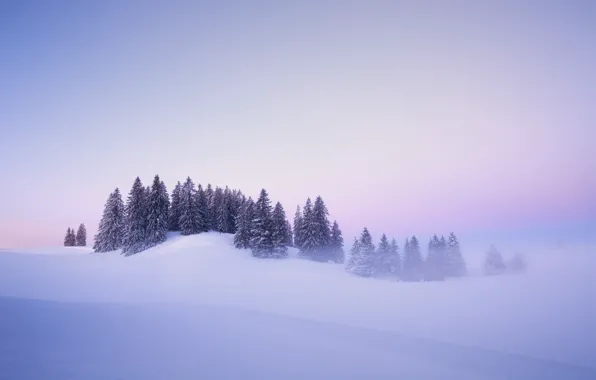 Picture winter, snow, trees, fog, dawn, morning, Switzerland, ate, the snow, Switzerland, Jura, Jura Mountains, Head-of-Ran