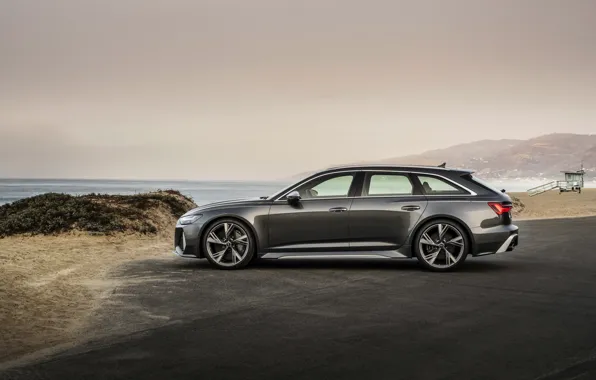 Picture Audi, side view, universal, RS 6, 2020, 2019, dark gray, V8 Twin-Turbo, RS6 Avant