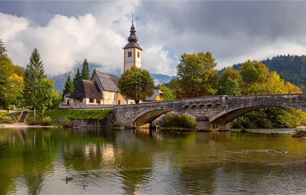 Picture trees, bridge, lake, duck, Church, Slovenia, Slovenia, Lake Bohinj, Bohinj, Bohinj, Bohinj lake, The Church …