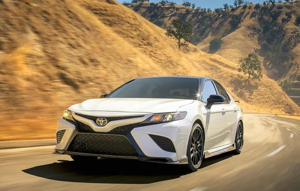 Picture Toyota, TRD, Camry, 2020, Toyota Camry, 2020 Toyota Camry TRD