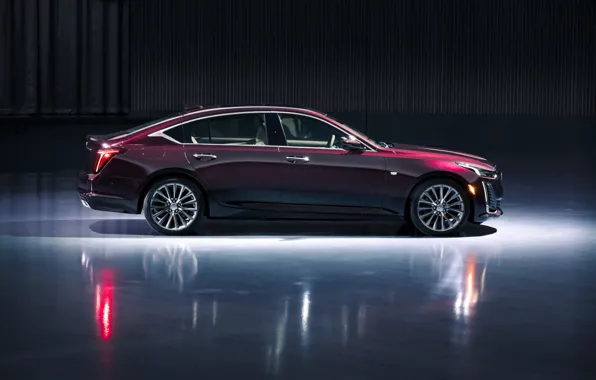 Picture Purple, Side view, American car, CADILLAC CT5
