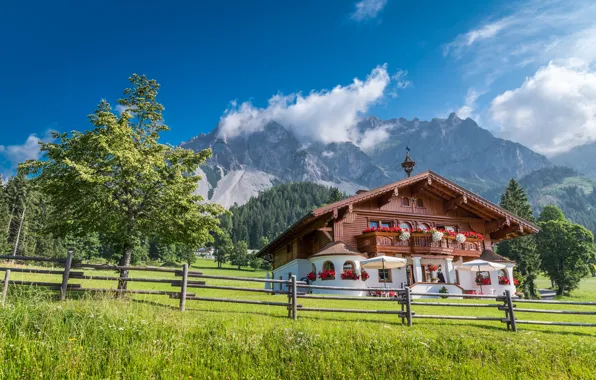 Picture trees, mountains, house, the fence, Austria, Alps, lawn, Austria, Alps, Styria, Styria, Ramsau am Dachstein, …