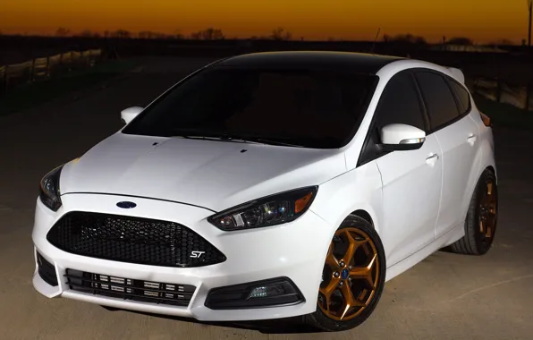 Picture Ford, Focus, White, Wheels, Bronze