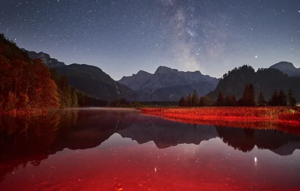 Picture trees, landscape, mountains, night, nature, lake, reflection, stars, Austria, the milky way, Bank, Almsee, Else