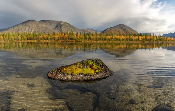Picture autumn, trees, landscape, mountains, nature, lake, stones, the bottom, Khibiny, The Kola Peninsula, Vaschenkov Pavel
