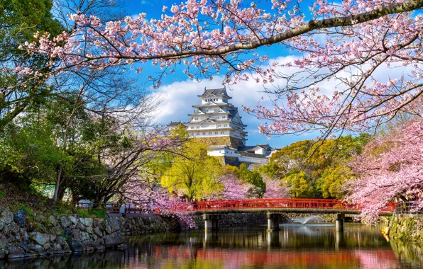 Picture Park, spring, Japan, Sakura, Japan, flowering, blossom, park, sakura, cherry, spring, castle, Himeji