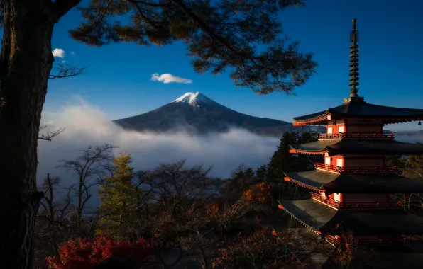 Picture trees, Japan, pagoda, Mount Fuji, Honshu