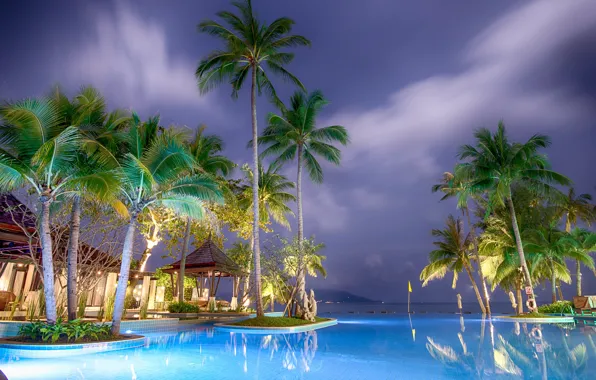 Picture sea, landscape, night, nature, palm trees, pool, backlight, Asia, the hotel, resort