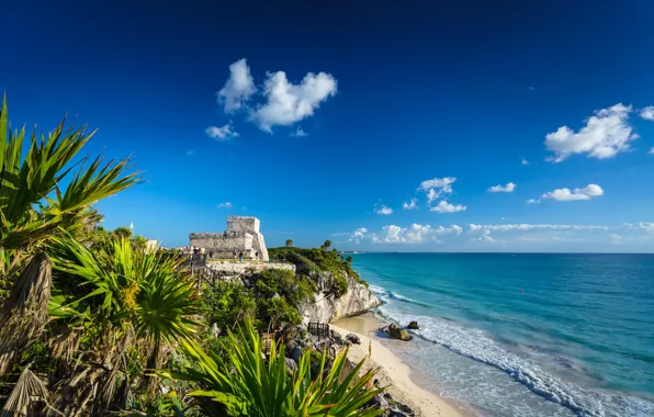 Picture the sky, clouds, palm trees, coast, Mexico, Tulum, Quintana Roo