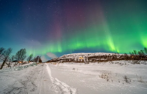 Picture snow, Norway, polar lights