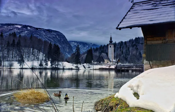 Picture winter, clouds, landscape, birds, bridge, nature, lake, duck, Church, forest, Slovenia, Bohinj, Bohinj