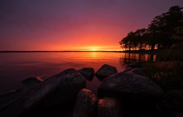 Picture trees, lake, sunrise, stones, morning, Sweden