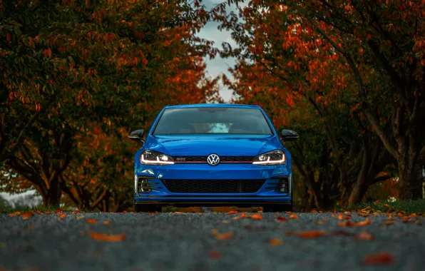Picture Volkswagen, Blue, Front, Autumn, Golf, VAG