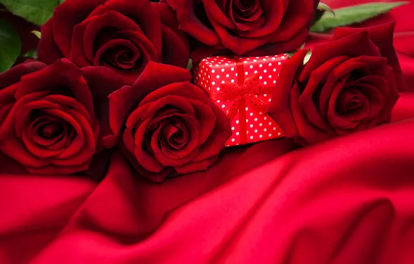 Picture red, background, gift, roses, bouquet, red, fabric, buds, Olena Rudo