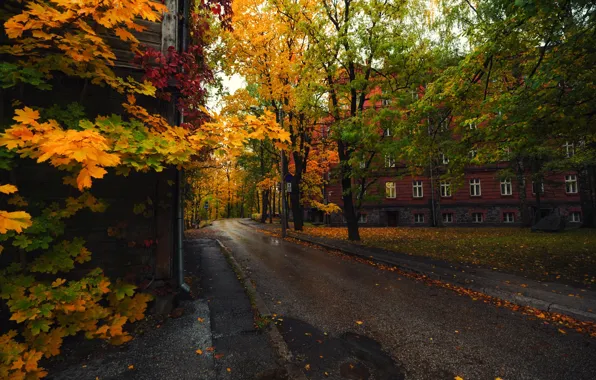 Picture Autumn, Estonia, Tartu