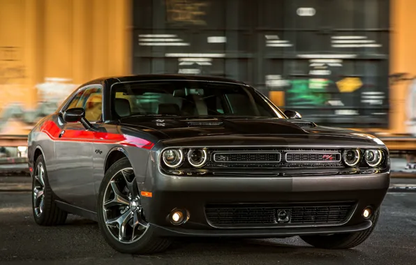 Picture Muscle, Dodge Challenger, R/T