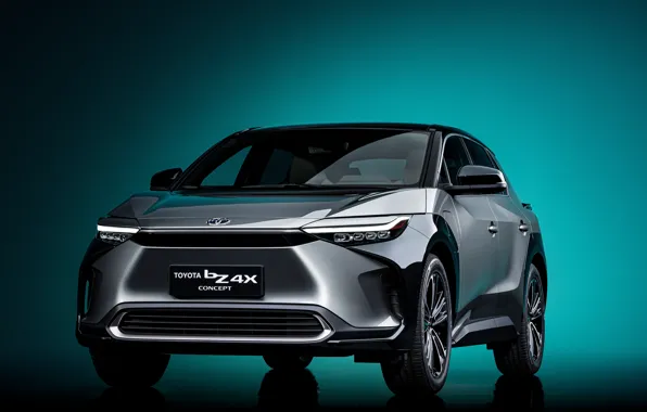 Picture Concept, Toyota, 2021, bZ4X