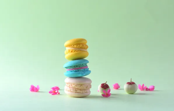 Picture colorful, dessert, pink, cakes, sweet, sweet, dessert, bright, macaroon, french, macaron, macaroon