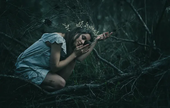 Picture forest, girl, branches, pose, mood, the situation, hands, dress, closed eyes, Timea Patrick C's