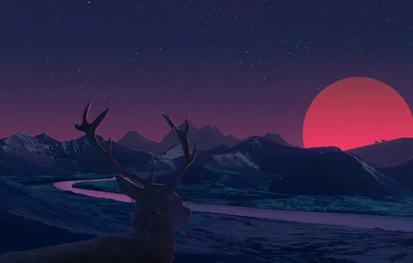 Picture sunset, deer, horns