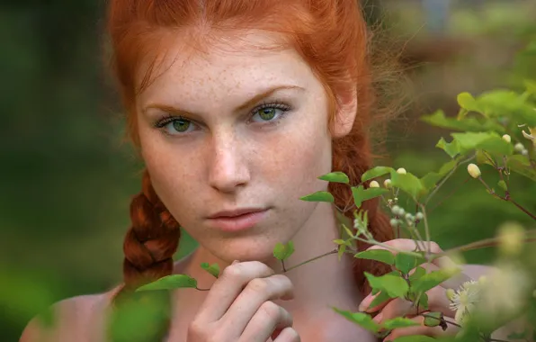 Picture eyes, look, leaves, Girl, branch, freckles, red, braids
