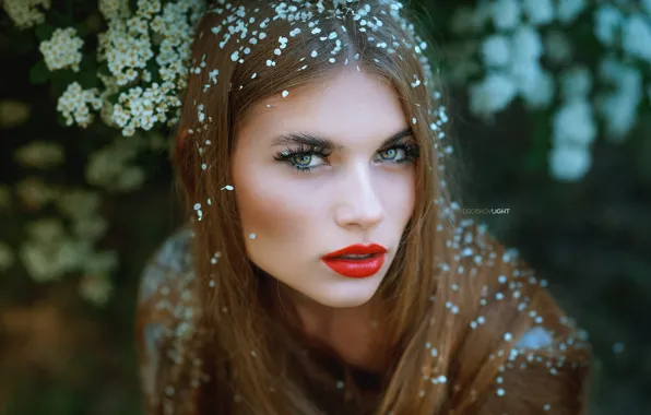 Picture look, girl, face, hair, portrait, petals, sponge, red lipstick, Alexander Drobkov-Light, Yulia Andronova