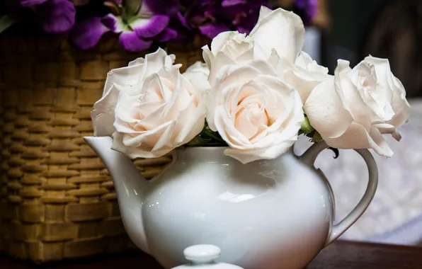 Picture style, roses, kettle, white