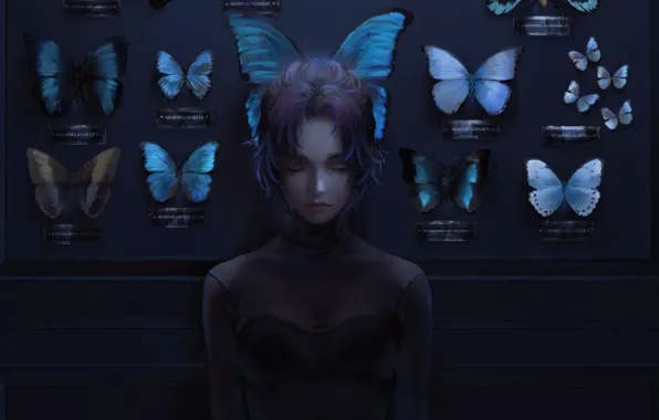 Picture butterfly, loneliness, collection, closed eyes, in the dark, black clothes, the blade cleaves demons, Kochou …