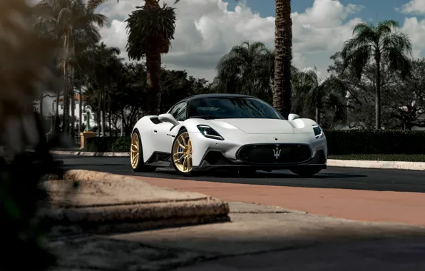 Picture Maserati, White, Gold, Wheels, MC20