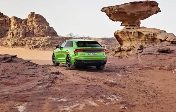 Picture Audi, desert, rear view, crossover, 2020, RS Q8