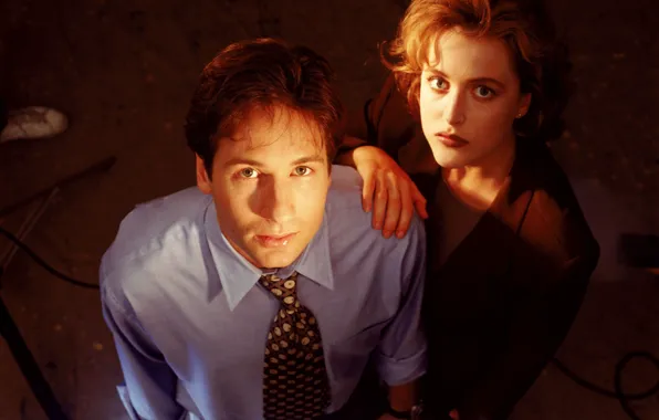 Picture the series, The X-Files, David Duchovny, Classified material, Gillian Anderson, Скалли, Малдер