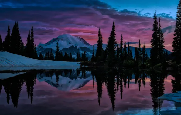 Picture trees, landscape, sunset, mountains, nature, lake, USA, reserve, National Park, Mount Rainier, Mount Rainier