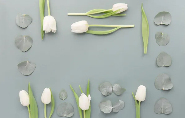 Picture leaves, flowers, White, Tulips