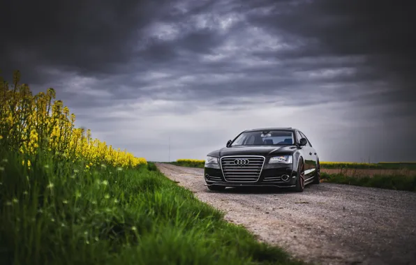 Picture Audi, Clouds, Grass, Black, Gray