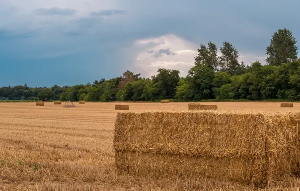 Picture field, the sky, clouds, hay, bale, bales, straw, the forest, the stubble, stubble, Kip, bales